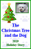 The Christmas Tree and the Dog 2019 Holiday Story