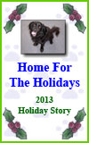 Home for the Holidays 2013 Holiday Story