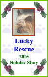 Lucky Rescue 2015 Holiday Story